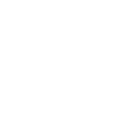 Apple Metal GPU acceleration