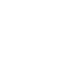 Hugging Face SetFit classifier