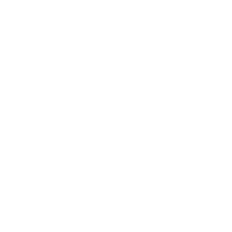 LangChain / LangGraph agent framework