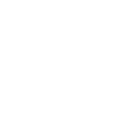 Ollama local LLM serving