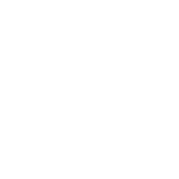 PostgreSQL with pgvector extension